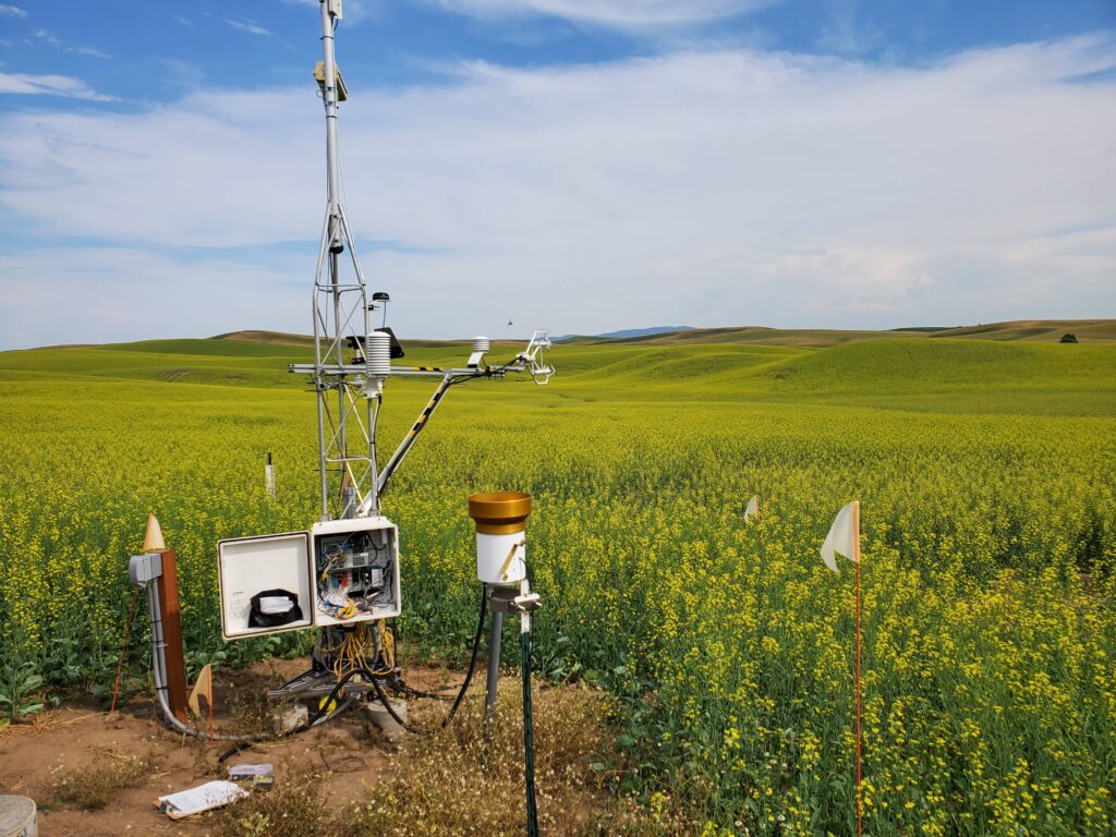 A measurement tool in the middle of the green hills of the Palouse.